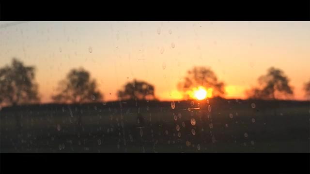 Un couché de soleil derrière un arbre, image extraite du film corporate carte de viste de l'entreprise